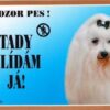 Barevná cedulka Pozor pes, Maltézský pinč